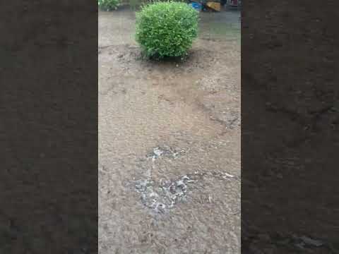 Slingshot Asphalt - Destroyed my property