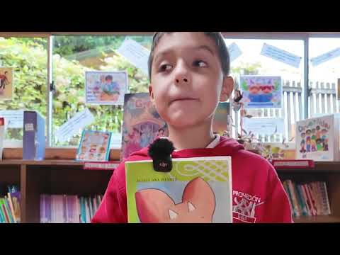 Video Booktubers 2026 - Facundo Castro,  3ero básico , Osorno, Región de los Lagos