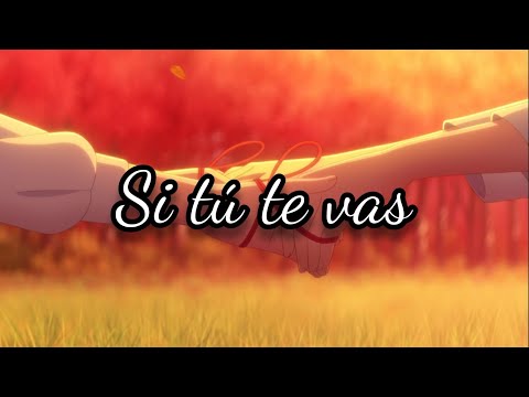 Video de la banda 17C