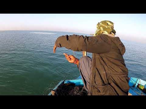 Mangroves Bottom Fishing In Pityani creek From Ibrahim Hedri Karachi | 2021