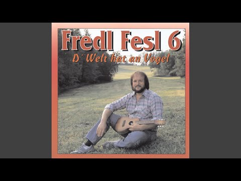Im Wald Ist Noch Ein Plätzchen Frei - Fredl Fesl