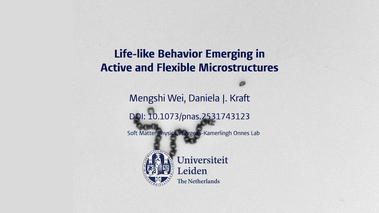 الروبوتات الدقيقة - بقلم الأستاذة دانييلا كرافت وباحثة ما بعد الدكتوراة منغشي وي - Universiteit Leiden - YouTube