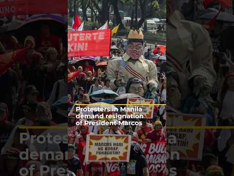 Thousands of anti-corruption protesters in Manila say Marcos must resign | AJ #shorts