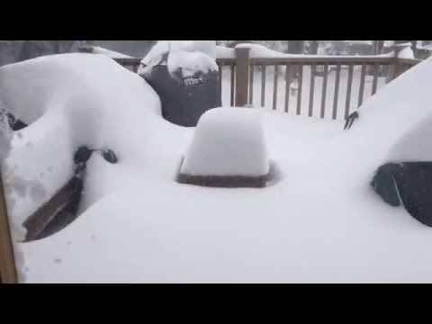 Winter Storm Jonas Time Lapse January 2016 Springfield, NJ