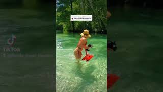 Proboat Blackjack 24 without music