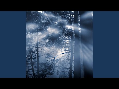 Day 093: A Meeting in the Woods