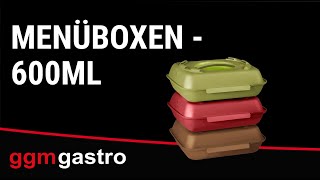 (20 pièces) Boîtes menu – 600 ml – Compartimentées – Anthracite/rouge