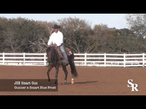 JSE Smart Gun revised