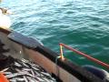 Mackerel Fishing~Bait Gathering B'mth Bay 10-05 ...