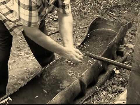 GUGESTI  IN CAUTAREA PARADISULUI PIERDUT