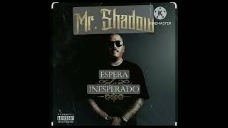 MR SHADOW = WHAT GOES AROUND COMES AROUND