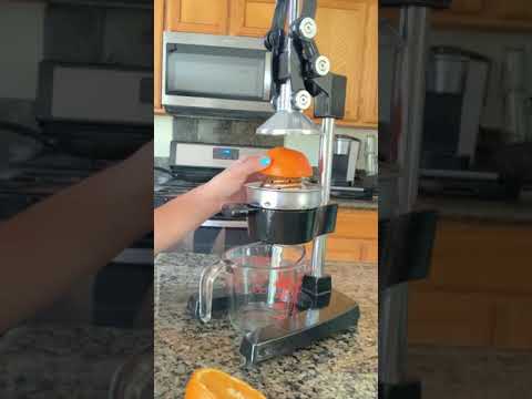 Zulay Professional Citrus Juicer (Trying it out)
