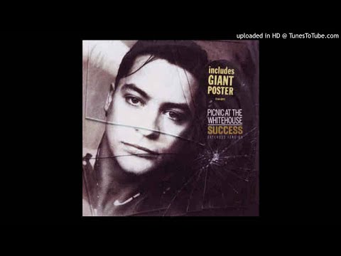 Picnic At The Whitehouse - Success (Extended Mix)