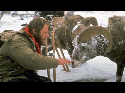 Wild America | Special E12 'Marty's World' | Wild America Animal Channel