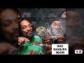 Wiz Khalifa Just Wanna Be Famous Official Audio