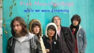 Pink Mountaintops - While we were Dreaming