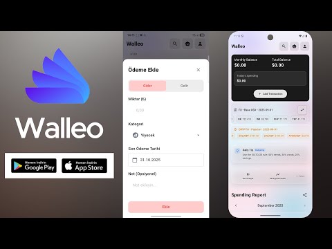 Walleo – Expense & Budget