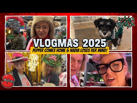 PUPPY Pepper Comes HOME & Meets MOODY TOFFEE; Nadia LOSES Her MIND Shopping - Vlogmas '25 Day Two