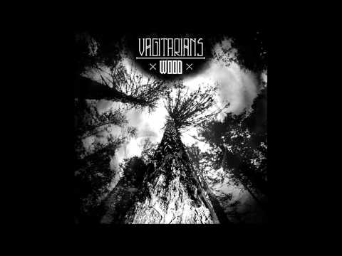 Vagitarians - 01 - Spirit is free - Wood (2012)