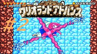 足トゲタコ【ワリオランドアドバンス ヨーキのお宝】#2