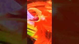 Phượng Hoàng Lửa/Like CWF