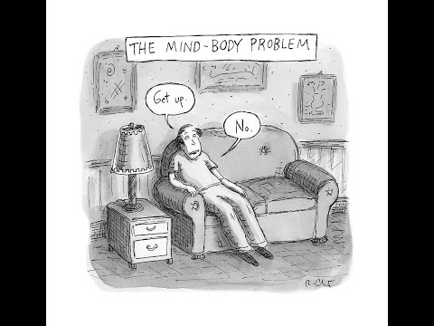 PHI 101 Lecture 3.1.2: The Mind-Body Problem - Part II