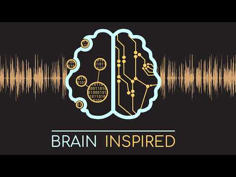 BI 123 Irina Rish: Continual Learning