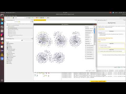 SIMG-VIZ: A Gradoop workflow in KNIME