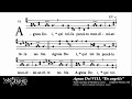 Agnus Dei VIII from Mass VIII, Gregorian Chant ...