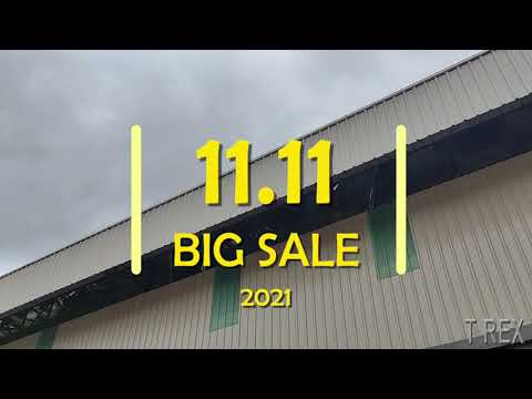 11.11 Big Sale Ended (2021) - T Rex Metalware