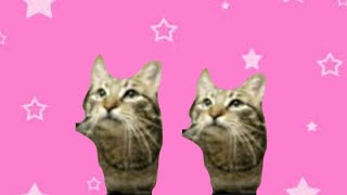 Cover art for carameldansen