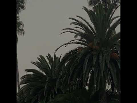 (FREE) Luidji x Nekfeu Type Beat - Royal