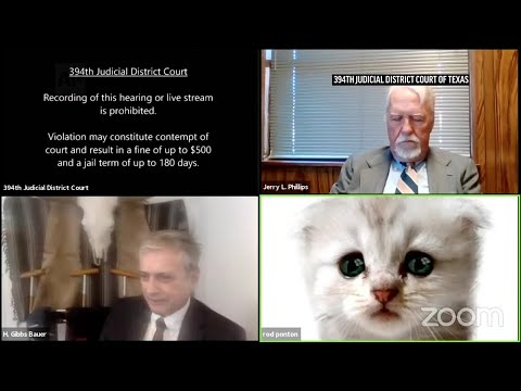 Filter makes lawyer look like cat in court Zoom call