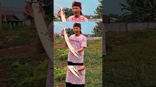 Download lagu ZULFIKAR PREMIUM SWORD COPPY PASTE VERSION FULL BRASS #zulfikar #sword #youtubeshorts #shorts mp3