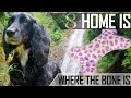 'HOME IS WHERE THE BONE IS' - EDEN'S ...