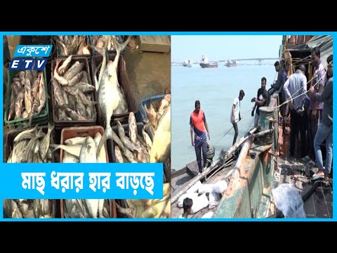 গভীর সমুদ্র থেকে মাছ ধরার বিশাল সম্ভাবনা