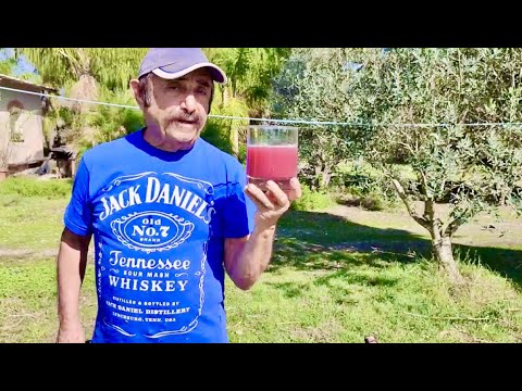 La spremuta di questo frutto è un potente antiossidante e notevolmente afrodisiaca, ma come si fa??