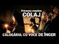 COLAJ CELE MAI FRUMOASE PRICESNE 2024 O VOCE DE ÎNGER