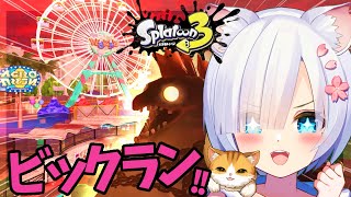 [Vtub] 小箱or個人Vtuber 1210 DD串