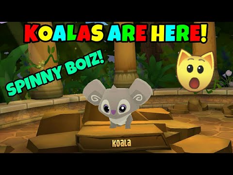 download lagu mp3 mp4 Animal Jam Koala, download lagu Animal Jam Koala gratis, unduh video klip Animal Jam Koala