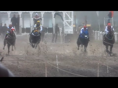 GALOPE NOLE DIOSA - CAMPEONA 2° GP COPA VÉRTIGO - 365mts - Hipódromo de Mercedes - 03/09/2023