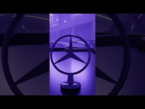 “LOTUS DELUXE” 08.11.22