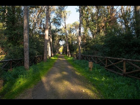 Ciudad de Tiggiano - Jardín y Parque