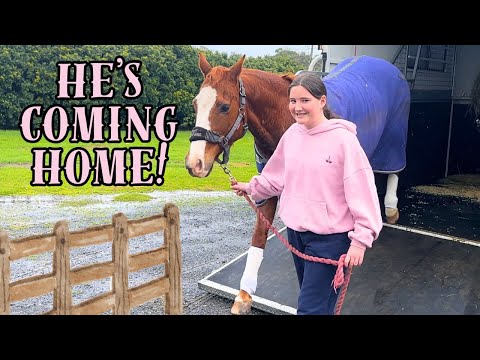 BRINGING HOME MY FIRST PONY RUSTY