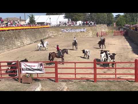 Prova da Vaca - Nicole e Hábil