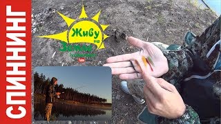 Оснастка дроп шот что это