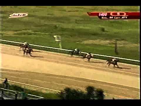 Resumen Viernes, 12 de Diciembre de 2014  - Valencia