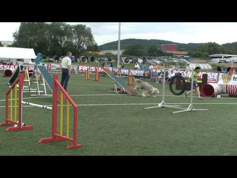 Brady Agility Luxemburg Open 22-08-2010