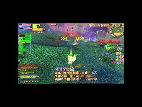 wow lvl 85 holy paladin