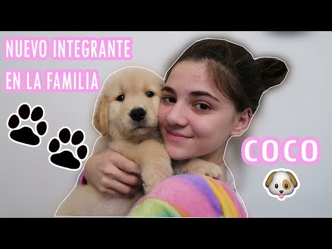 download lagu mp3 mp4 Perro Kuki, download lagu Perro Kuki gratis, unduh video klip Download Perro Kuki Mp3 dan Mp4 Music Gratis